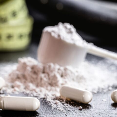 eigen creatine productlijn - e-influence